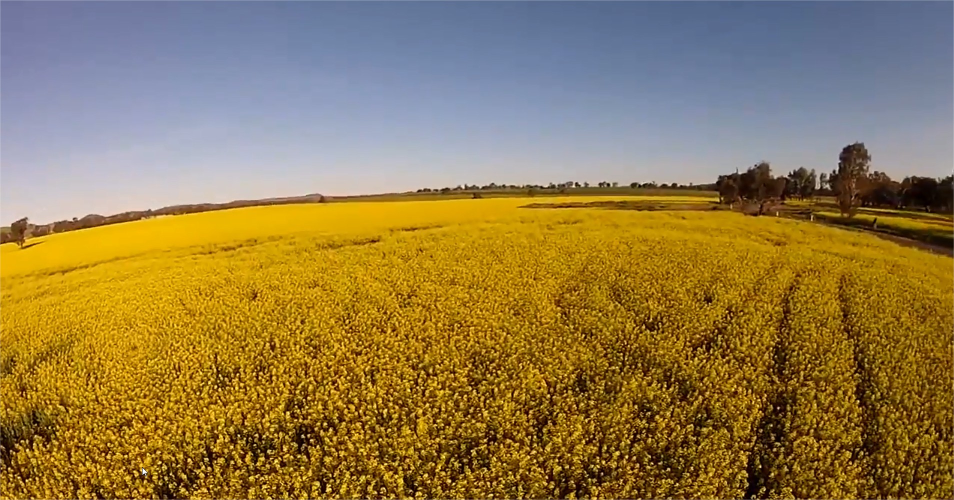 Uragro Agronegocios Slider 3